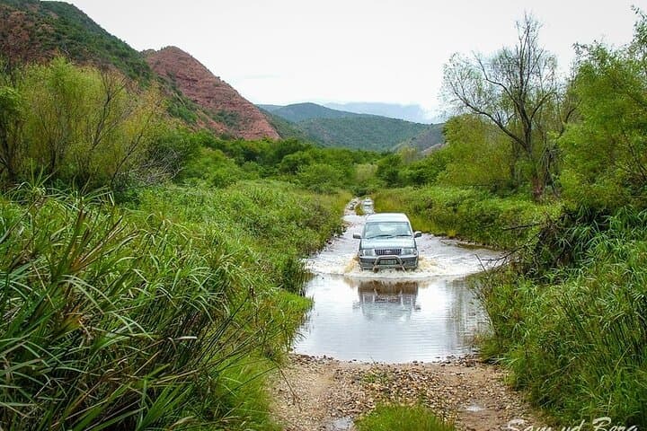Baviaanskloof Scenic Route: Full-Day Reserve Safari from Port Elizabeth photo 5