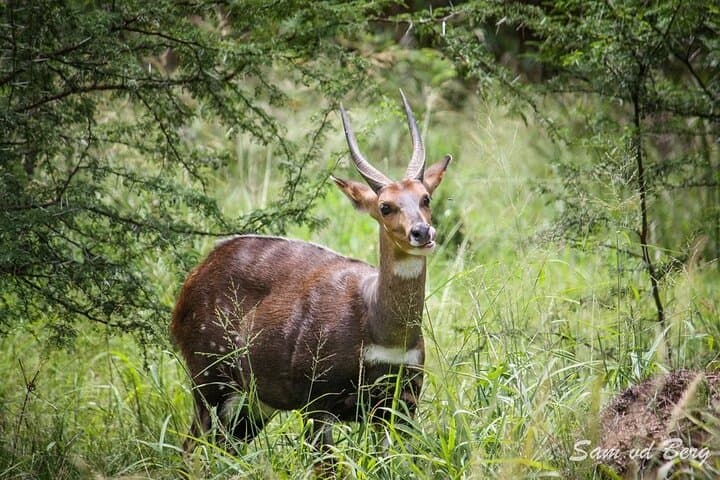 Baviaanskloof Scenic Route: Full-Day Reserve Safari from Port Elizabeth photo 6
