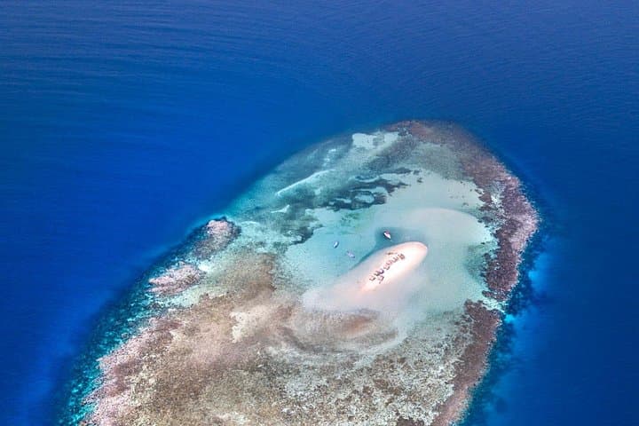 Cayo Arena Snorkel from Punta Rucia: Day Trip to Cayo Arena photo 2