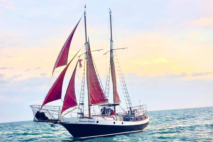 Suncoast Horizon Day Sail: Treasure Island Gulf & Dolphin Cruise photo 5