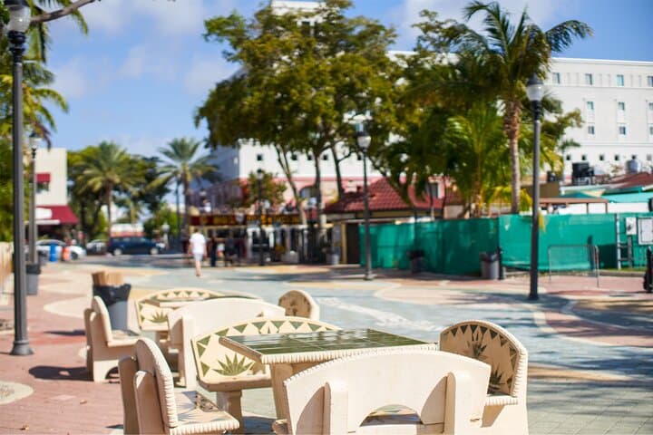 Miami Highlights: Wynwood Walls, Little Havana & Everglades Airboat Adventure photo 2