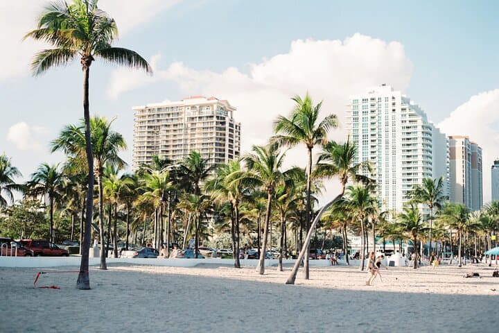 Miami Highlights: Wynwood Walls, Little Havana & Everglades Airboat Adventure photo 5