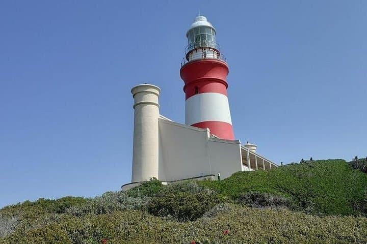 Cape Agulhas: Where the Indian and Atlantic Oceans Meet — Day Tour from Cape Town photo 2