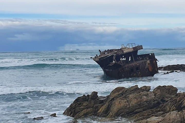 Cape Agulhas: Where the Indian and Atlantic Oceans Meet — Day Tour from Cape Town photo 3