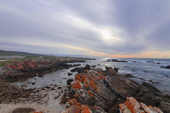 Cape Agulhas: Where the Indian and Atlantic Oceans Meet — Day Tour from Cape Town photo 4