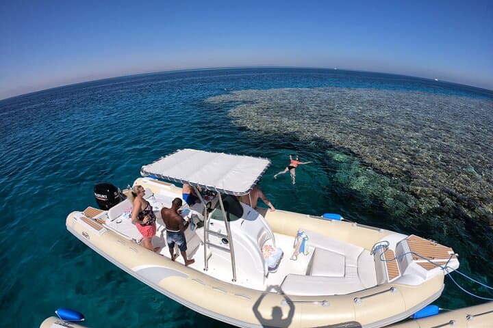 Private Dolphin Watching and Snorkeling Tour in Hurghada — Red Sea Encounters photo 2
