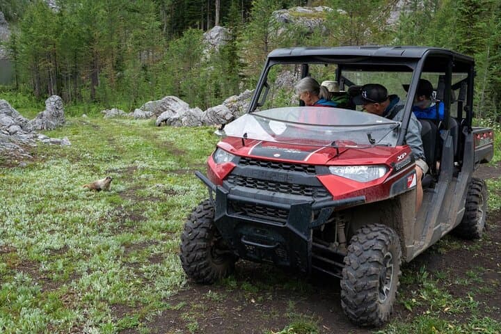 Private Fortress Ridgeline Hike in Kananaskis: Guided Backcountry Adventure photo 3