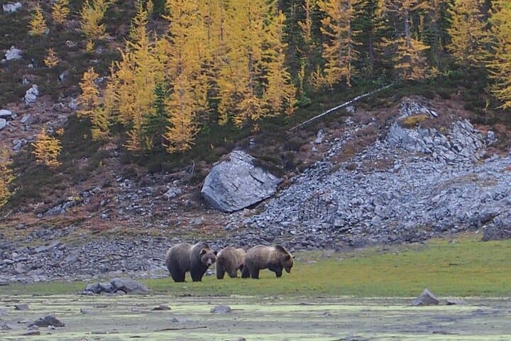Private Fortress Ridgeline Hike in Kananaskis: Guided Backcountry Adventure photo 5