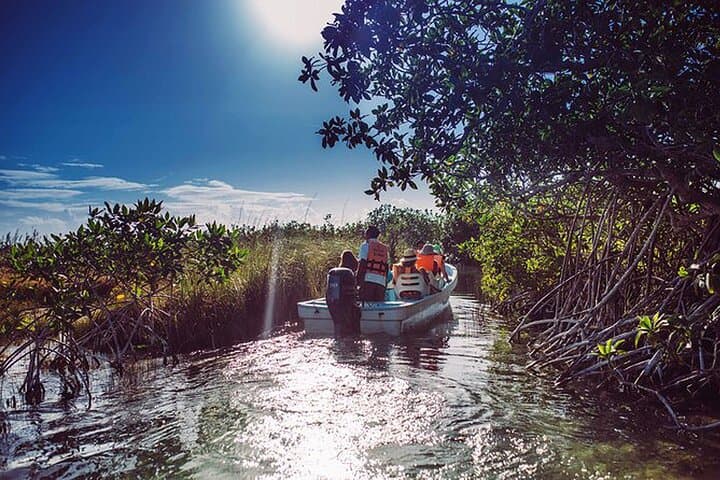 Tulum Scooter Tour to Muyil: Boat Eco-Trip & Float Down Mayan Canals photo 6