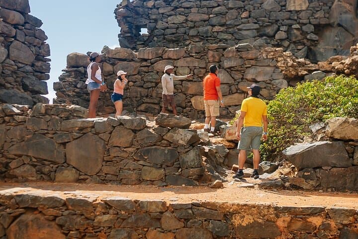Half-Day Aruba Sightseeing: Butterfly Farm, Aloe Factory, Lighthouses & Natural Bridges