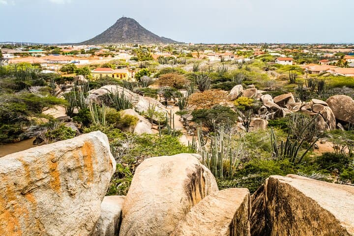 Half-Day Aruba Sightseeing: Butterfly Farm, Aloe Factory, Lighthouses & Natural Bridges photo 4
