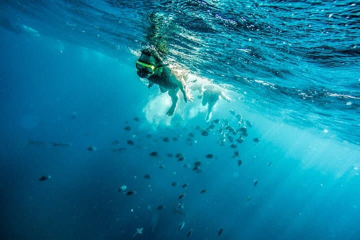 Aruba Afternoon Snorkel Sail: Antilla Wreck, Snuba & Happy Hour Catamaran photo 3