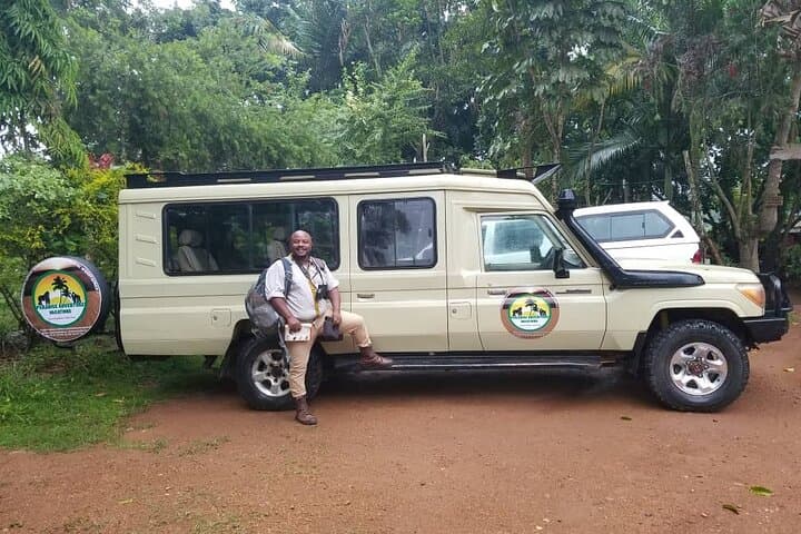 5-Day Uganda Gorilla & Chimpanzee Trek: Bwindi, Kalinzu & Kazinga Channel photo 4