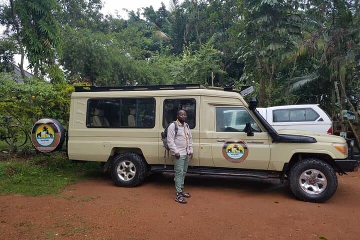 5-Day Uganda Gorilla & Chimpanzee Trek: Bwindi, Kalinzu & Kazinga Channel photo 5