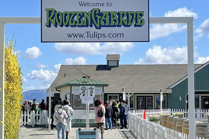 Skagit Valley Tulip Festival Day Tour from Seattle — RoozenGaarde & La Conner photo 5