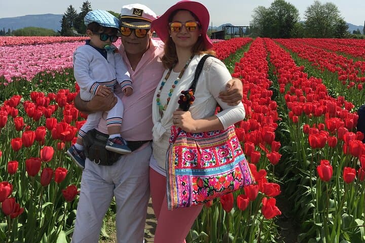 Skagit Valley Tulip Festival Day Tour from Seattle — RoozenGaarde & La Conner photo 2