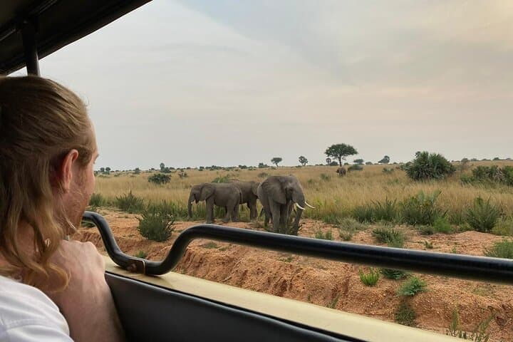 3-Day Murchison Falls Safari: Big Five, Boat Cruise & Falls Hike photo 4