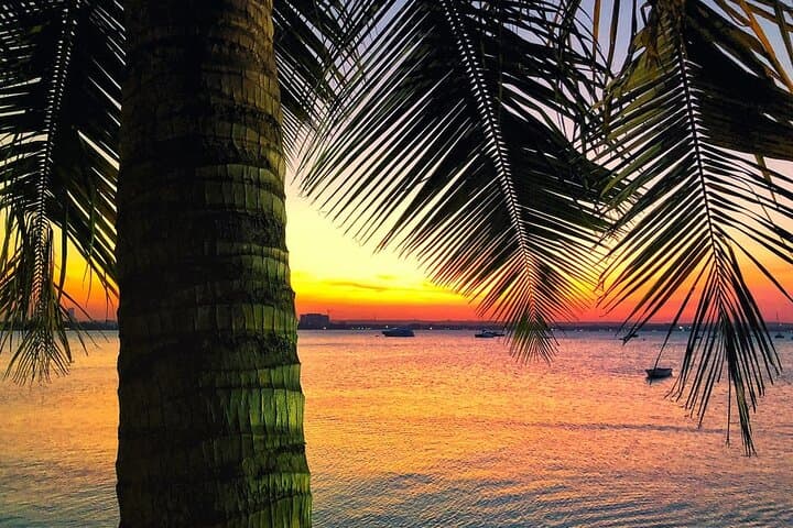 Zanzibar Sunset Dhow Cruise: Stone Town Evening Sail with Transfers photo 5