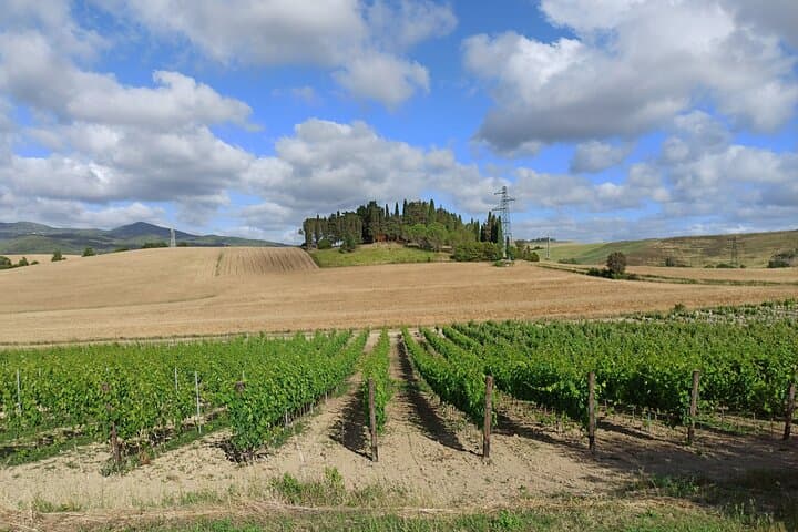 Chianti Classico Morning Wine Tour from Florence — 2 Wineries & Tuscan Lunch photo 3