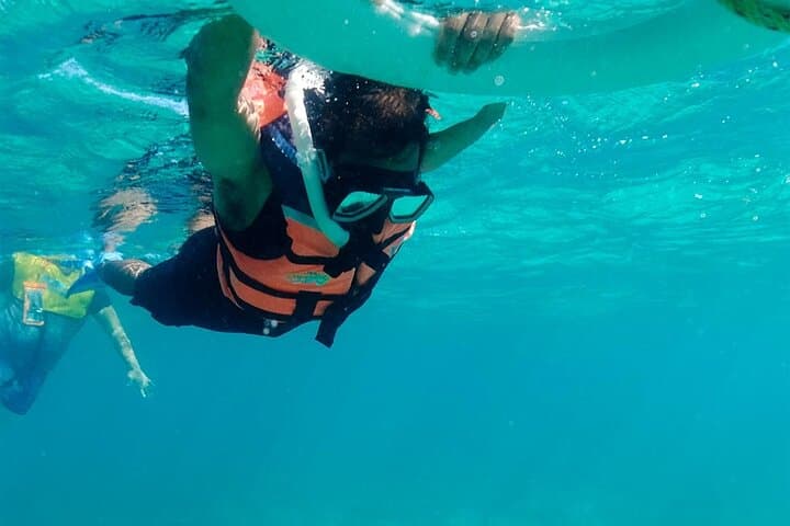 Cancun Basic Snorkel Experience: Snorkel the MUSA Reef, Seagrass & Shipwreck with Transport photo 2