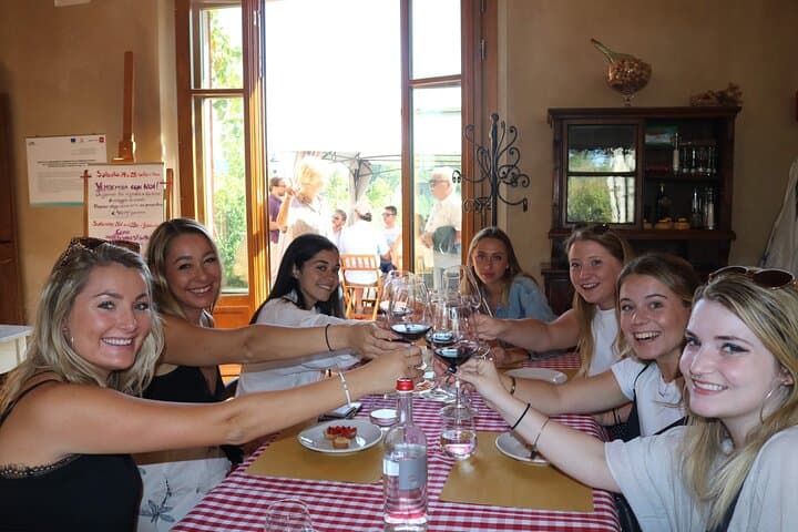 Chianti Wine Tasting Day Trip from Florence — Panoramic Views & Family Wineries photo 2
