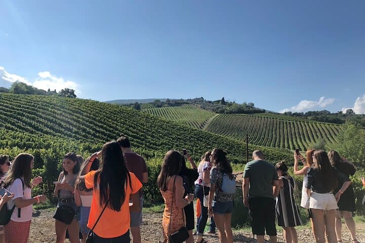 Chianti Wine Tasting Day Trip from Florence — Panoramic Views & Family Wineries photo 5
