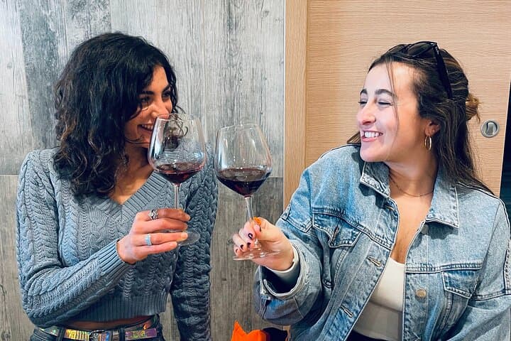 Chianti Wine Tasting Day Trip from Florence — Panoramic Views & Family Wineries photo 6