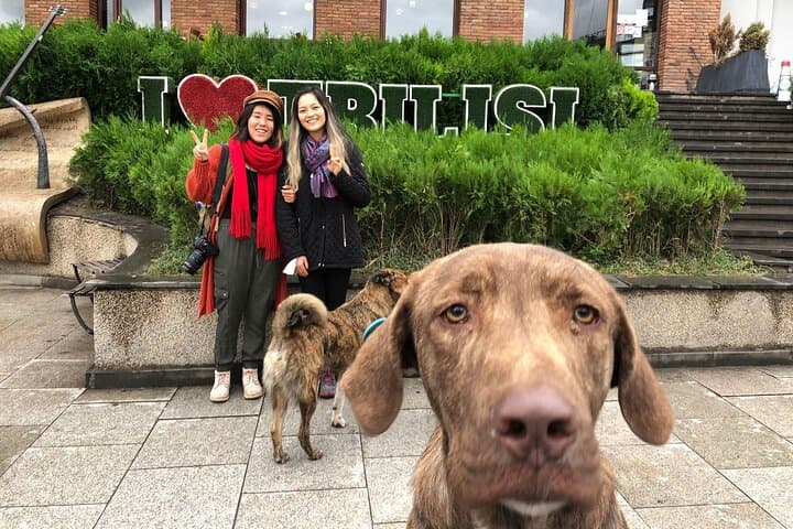 Old Tbilisi Highlights Walking Tour — Wine Tastings, Cable Car & Local Bites photo 3