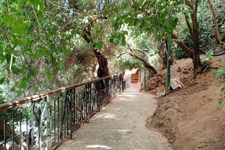 Ouzoud Waterfalls Day Trip from Marrakech — Full-Day Private Tour photo 6