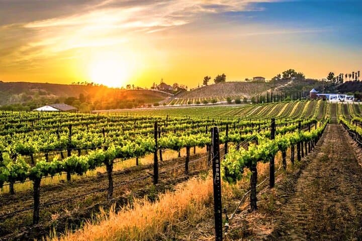 Private Temecula Wine Country Excursion from Orange County