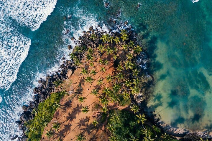 Highlights of Sri Lanka: 8-Day Private Tour from Negombo
