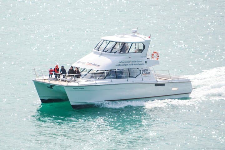 Akaroa Harbour Dolphin Cruise: Hector's Dolphins, Penguins & Seals photo 3