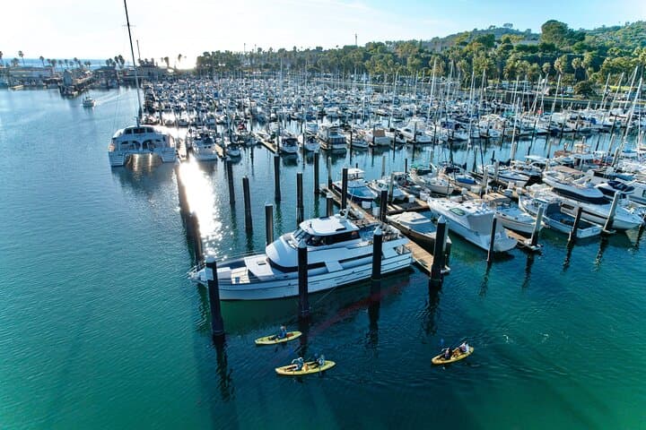 Santa Barbara Harbor Wildlife Kayak Tour: 2‑Hour Guided Paddle photo 2