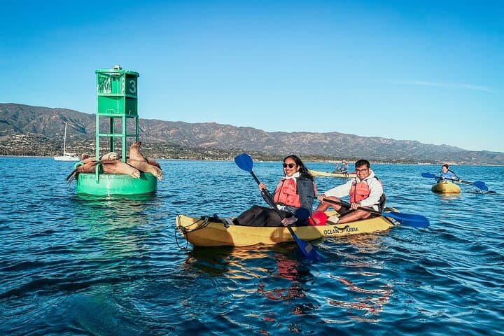 Santa Barbara Harbor Wildlife Kayak Tour: 2‑Hour Guided Paddle