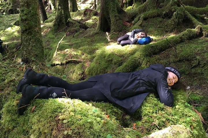 Haida Gwaii Cultural Immersion & Holistic Wellbeing Retreat in Old Massett