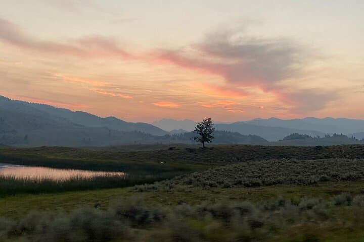 Yellowstone Evening Wildlife Tour: Sunset Safari in Lamar Valley