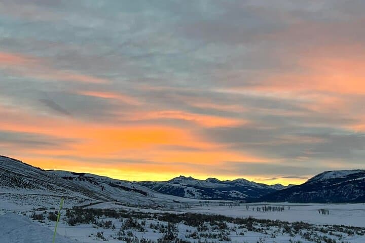 Yellowstone Evening Wildlife Tour: Sunset Safari in Lamar Valley photo 2