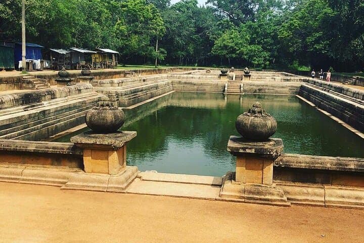 Highlights of Sri Lanka: 8-Day Private Tour from Negombo photo 4