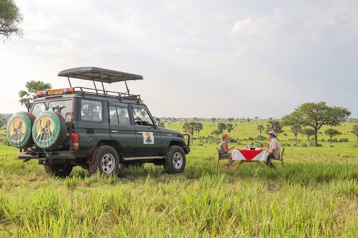8-Day Uganda Luxury Big 5 Safari: Gorillas, Chimps & Murchison Falls photo 5