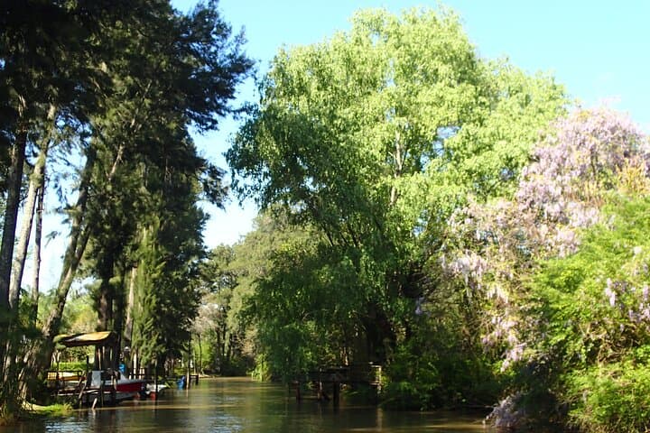 Semi-Private Speedboat Tour Through the Tigre Delta from Buenos Aires photo 3