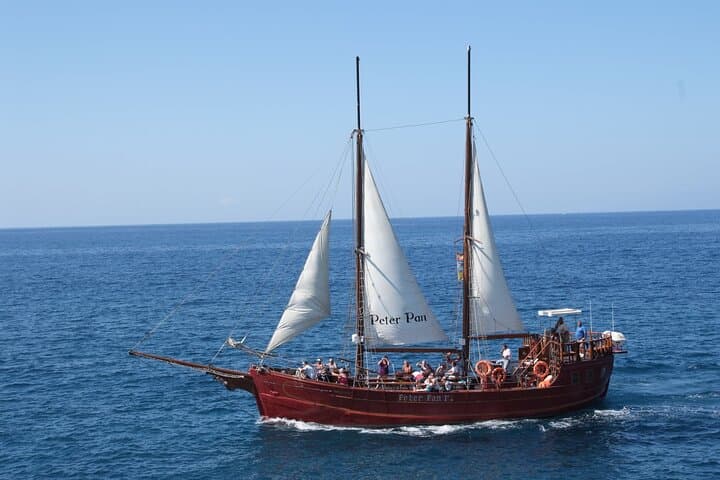 Pirate Ship Whale Safari in Tenerife — Los Cristianos Boat Cruise & Swim photo 2