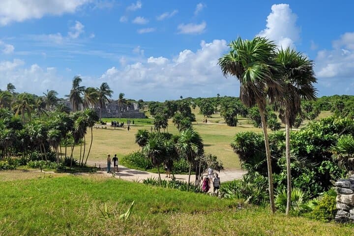 4-in-1 Tulum, Coba, Cenote & Playa Day Trip from Cancun photo 6