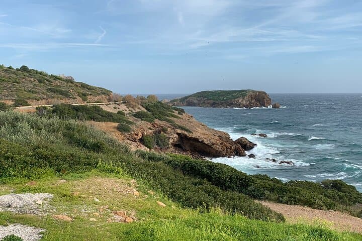Cape Sounion & Temple of Poseidon Sunset Tour from Athens — Half-Day Coastal Drive photo 6
