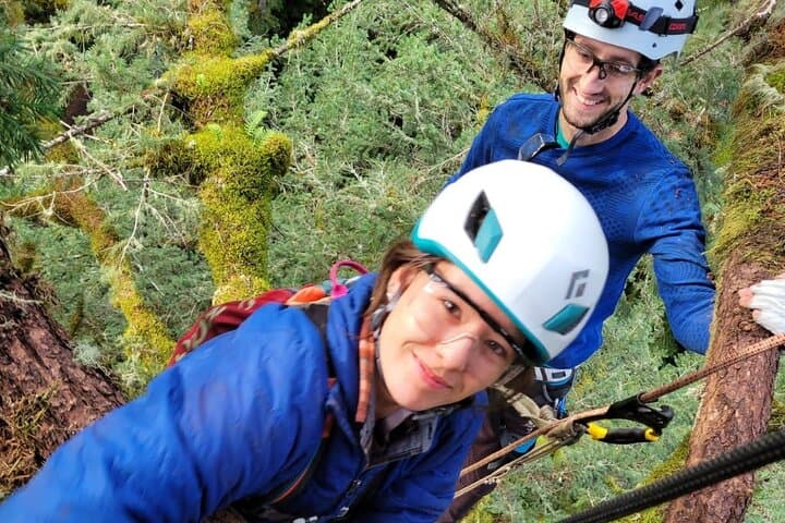 Canopy Climb: Old-Growth Tree Climbing at Silver Falls State Park photo 2