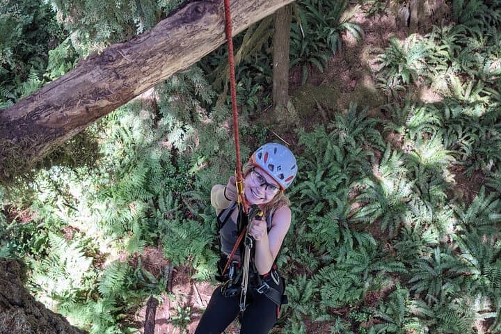 Canopy Climb: Old-Growth Tree Climbing at Silver Falls State Park photo 4