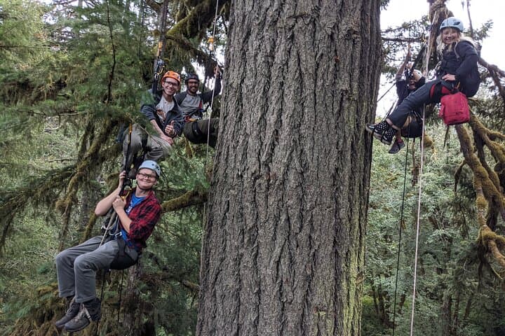 Canopy Climb: Old-Growth Tree Climbing at Silver Falls State Park
