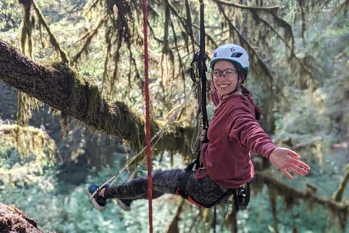 Canopy Climb: Old-Growth Tree Climbing at Silver Falls State Park photo 6