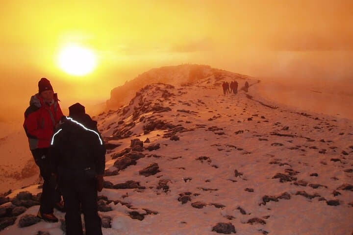 5-Day Marangu Route Kilimanjaro Trek: Rainforest to Uhuru Peak photo 4