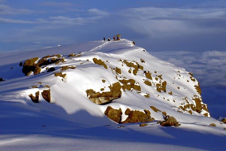5-Day Marangu Route Kilimanjaro Trek: Rainforest to Uhuru Peak photo 6