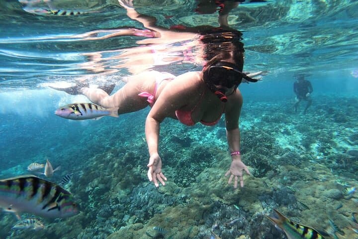 Nusa Penida Full Day: Snorkel GT Point & Kelingking Cliff Tour photo 6
